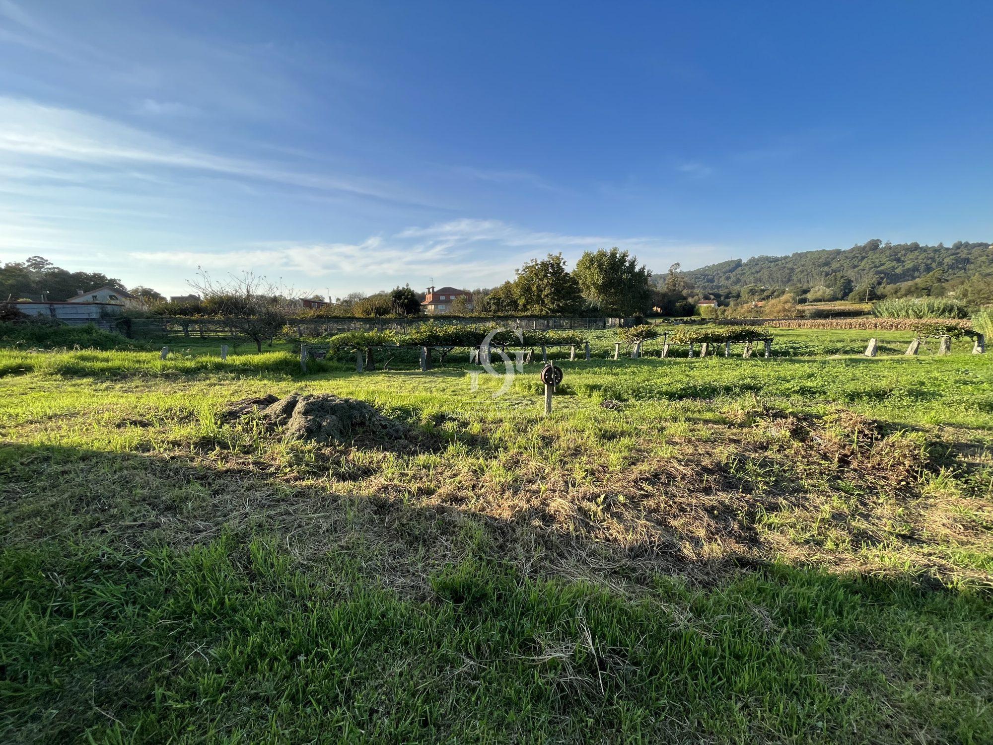 Beautiful large plot of Land to build Your Dream Home in Gondomar