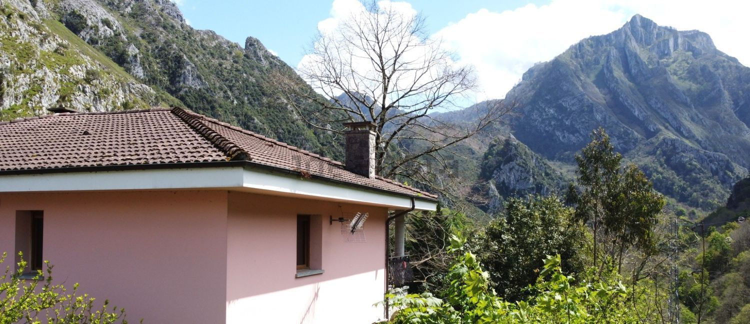 Sunny Mountain Chalet with Views – photo 1